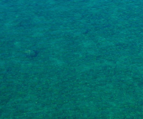 A clear drop of water creating ripples on a calm surface.