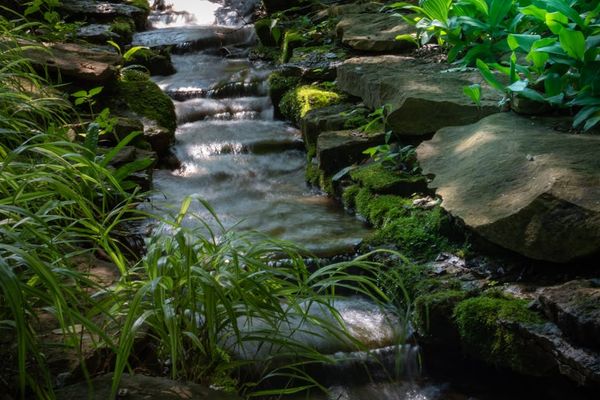 A path of small stones leading towards a tranquil garden.