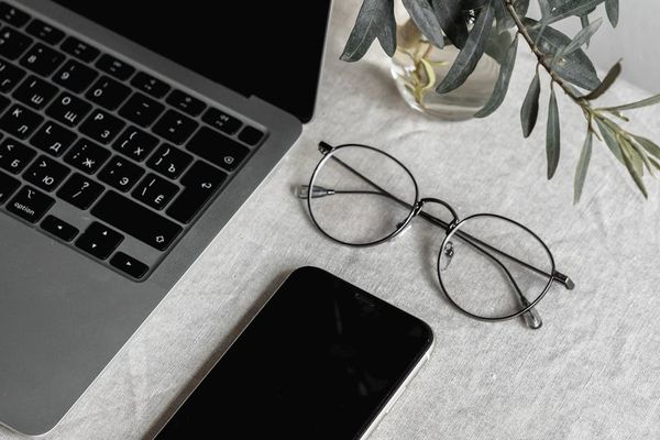Modern office workspace with a computer and a plant.